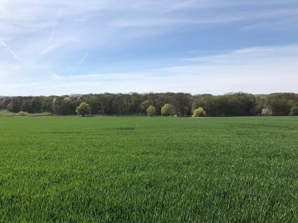 L Oree Du Bois Moncheux Exteriér fotografie